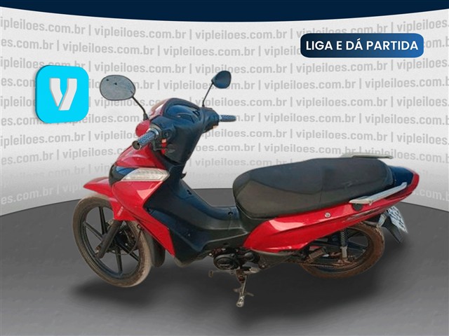 SHINERAY XY125-6A - 2025/2025