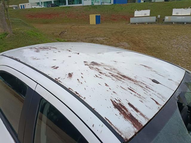 CHEVROLET ONIX 1.4MT LT - 2014/2015 — foto 17 de 22
