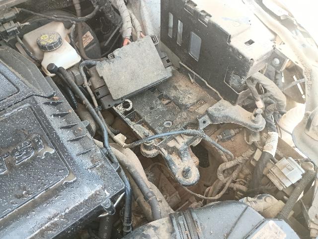 Foto 28 de 32: NIVUS CL TSI - 2023/2024