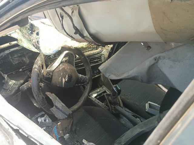 Foto 5: NIVUS CL TSI - 2023/2024