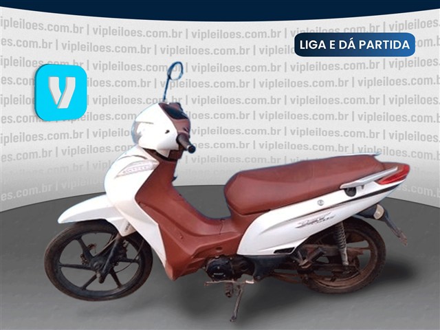 SHINERAY 50Q - 2023/2024