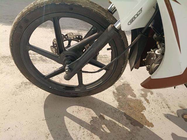 SHINERAY SHI 125 - 2025/2026 — foto 15 de 19