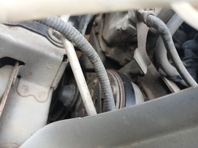 Imagem 33