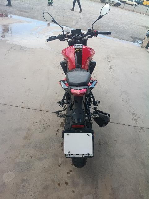 SHINERAY XY250-5A - 2024/2025 — foto 5 de 16