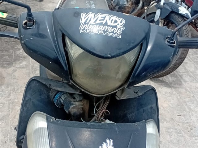 Charming Bull KRC50 2015