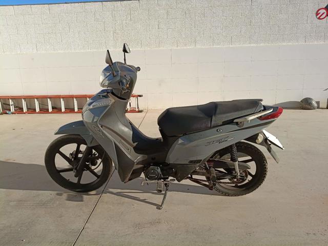 SHINERAY XY125-6A - 2024/2024
