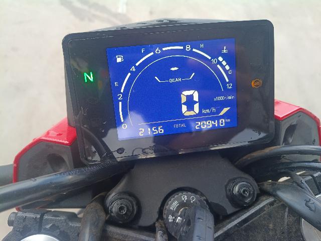 SHINERAY XY250-5A - 2024/2025 — foto 10 de 16