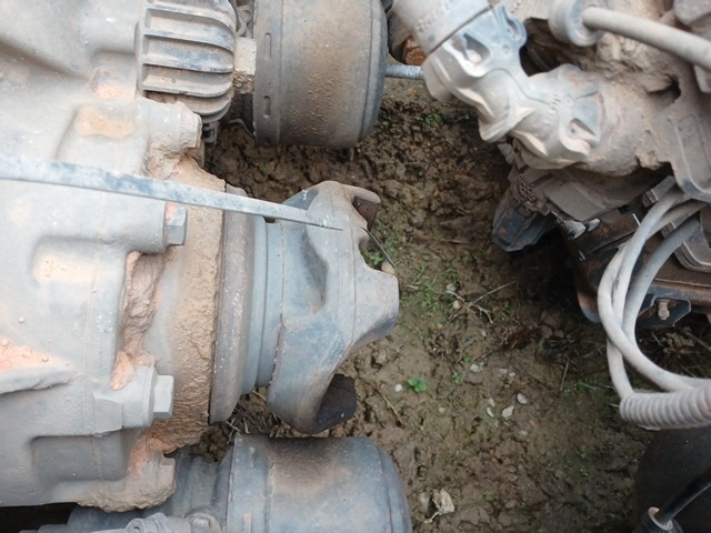 Imagem 32