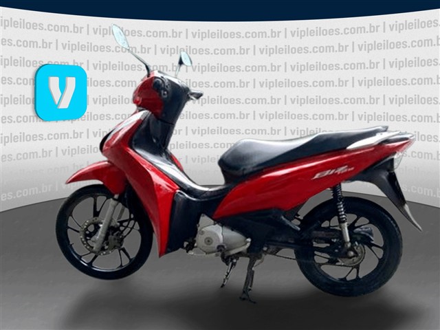 BIZ 125 - 2024/2024