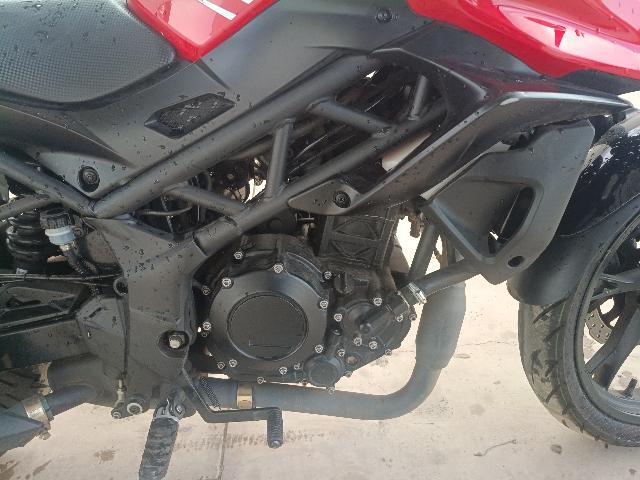 SHINERAY XY250-5A - 2024/2025 — foto 15 de 16