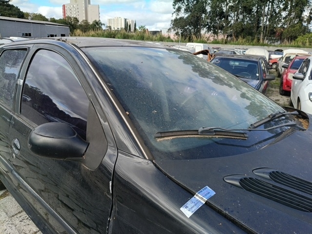 PEUGEOT 206 SW14 PRES FX - 2007/2008 — foto 9 de 10