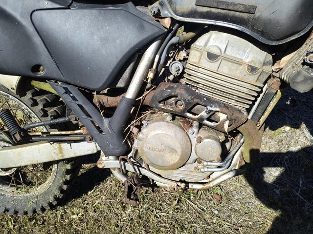HONDA XR 250 TORNADO - 2005/2005 — foto 8 de 10