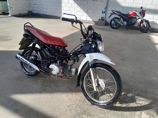 HONDA POP 110I - 2019/2019