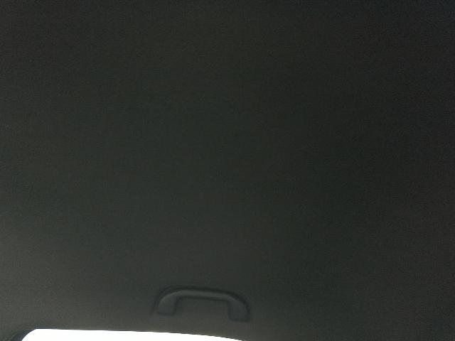 Foto 19 de 35: DOLPHIN MINI GS5EV - 2024/2025