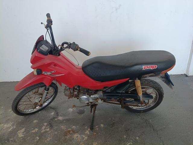 HONDA POP100 - 2010/2010