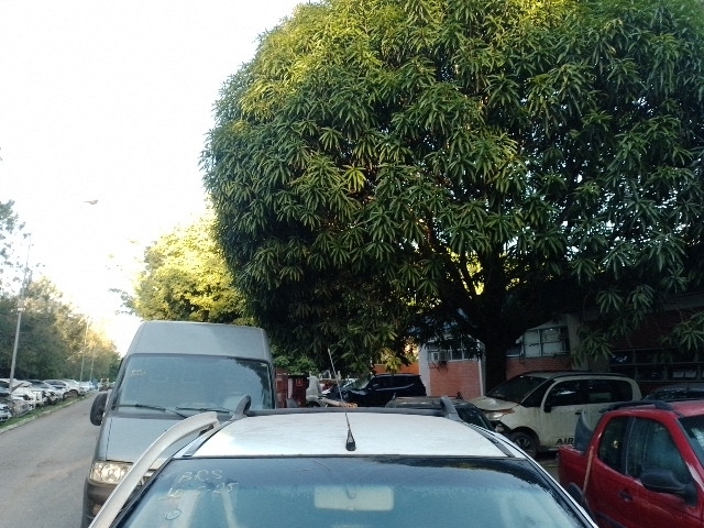 Imagem 15