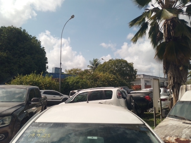 Imagem 19
