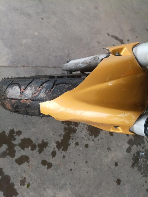 Foto 17 de 19: CBR 600 RR - 2009/2010