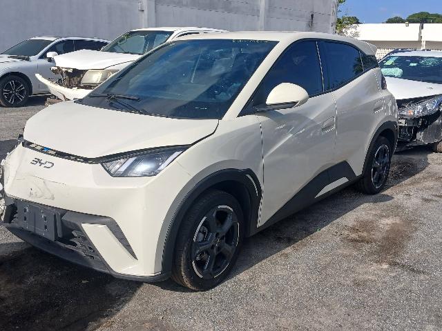 BYD DOLPHIN MINI GS5EV - 2024/2025