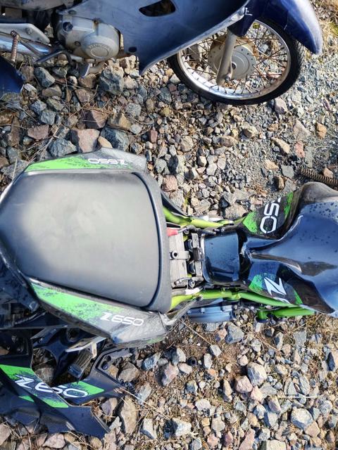 KAWASAKI Z650 - 2018/2018 — foto 12 de 15