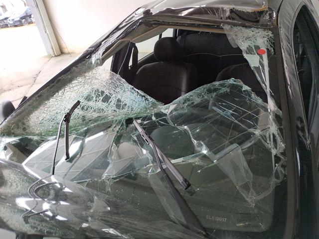 RENAULT CLIO EXP1016VH - 2013/2014 — foto 33 de 37