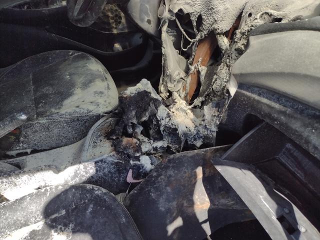 ONIX SED. PLUS PREM. 1.0 12V TB FLEX AUT - 2024/2025 — foto 5 de 30