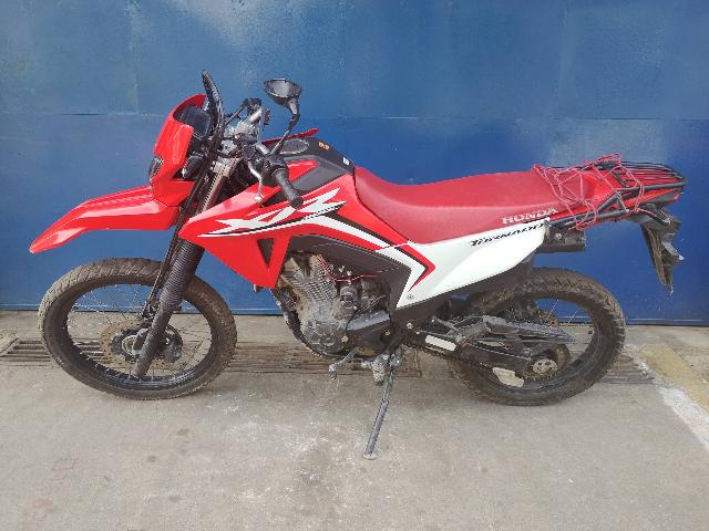 HONDA XR300L TORNADO - 2025/2026