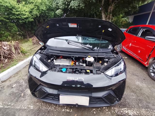 BYD DOLPHIN MINI GS EV - 2024/2025 — foto 19 de 40