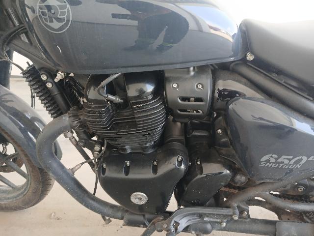 Foto 9 de 24: SHOTGUN 650 - 2025/2026