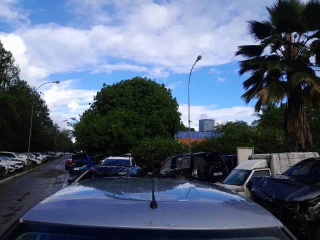 Imagem 19