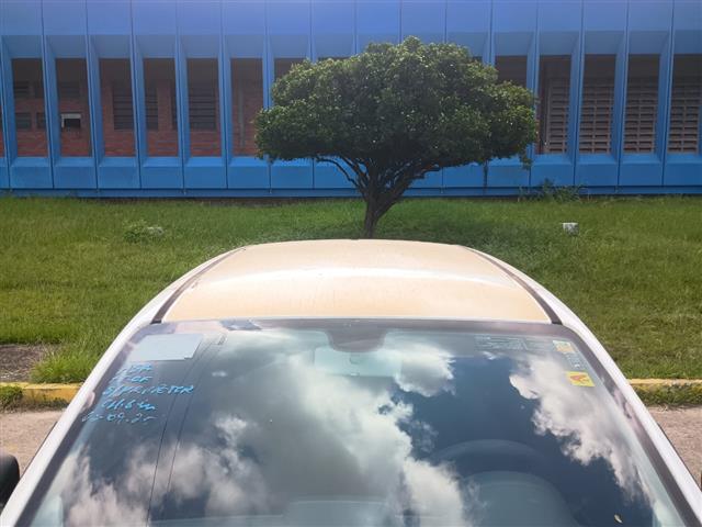 Imagem 12