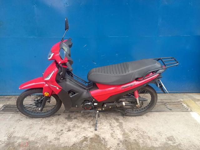 SHINERAY SHI 50 S - 2025/2026