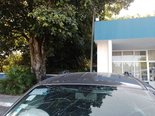 Imagem 16