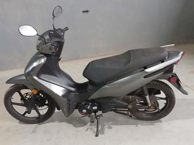 BULL LIV 125 PLUS - 2025/2026
