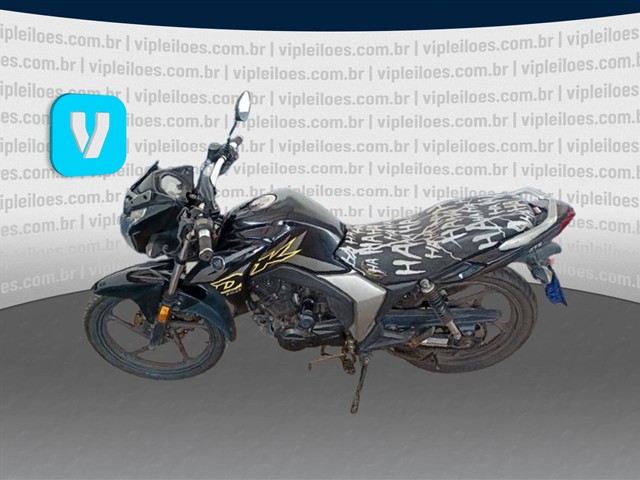 JTZ DK150 - 2024/2025