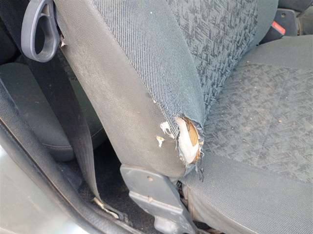Imagem 57