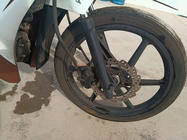 SHINERAY SHI 125 - 2025/2026 — foto 17 de 19