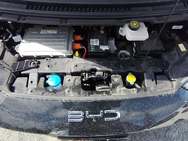 Foto 8 de 35: DOLPHIN MINI GS5EV - 2024/2025