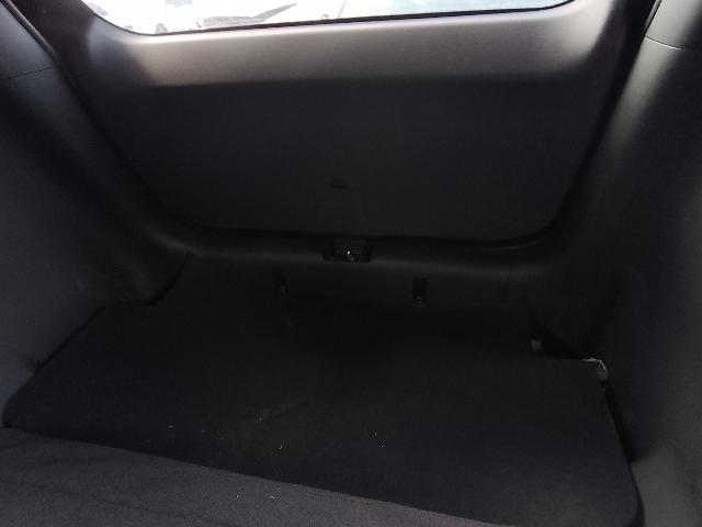 Foto 21 de 35: DOLPHIN MINI GS5EV - 2024/2025