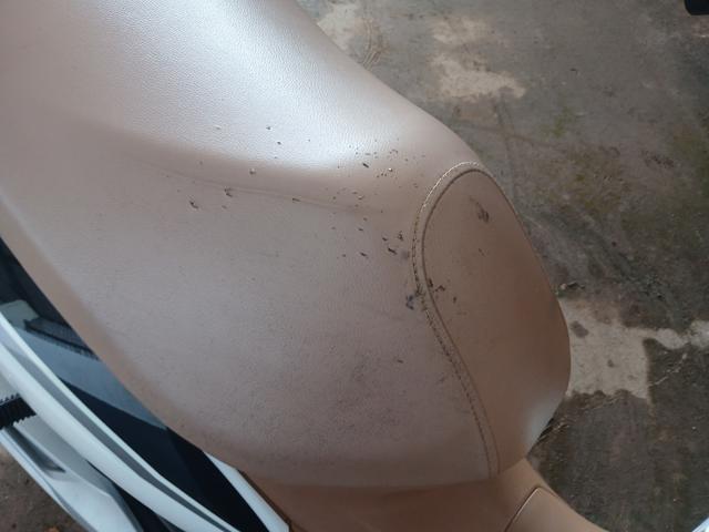 Imagem 17