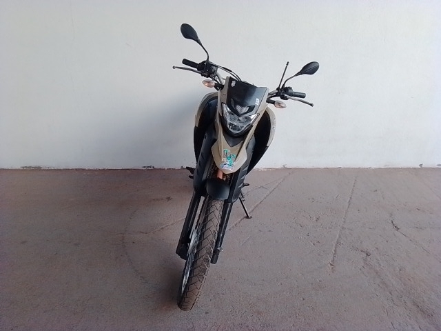Imagem 3