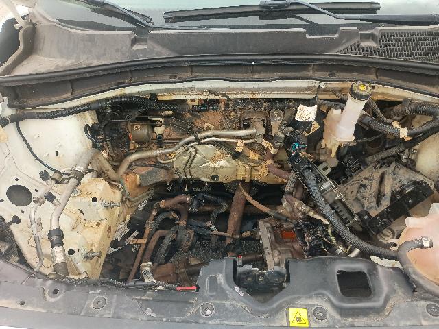 Foto 18 de 32: PULSE AUDACE TF200 - 2024/2025
