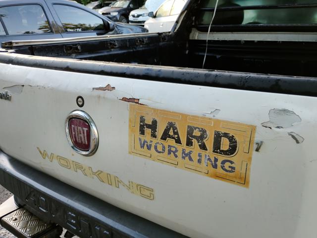 Foto 35 de 43: STRADA WORKING - 2014/2015