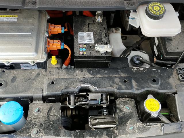 Foto 29 de 35: DOLPHIN MINI GS5EV - 2024/2025