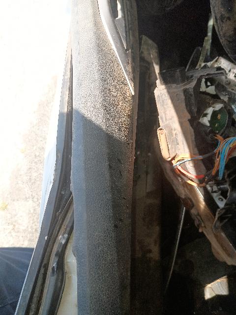 Foto 18 de 32: NIVUS CL TSI - 2023/2024