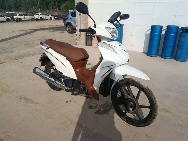 SHINERAY SHI 125 - 2025/2026 — foto 3 de 19