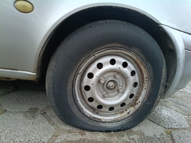 Imagem 24