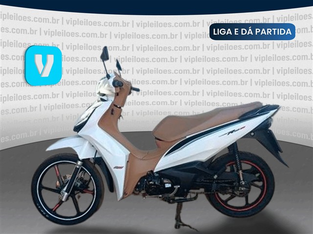 SHINERAY XY125-6A - 2024/2025