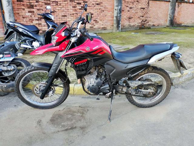 YAMAHA XTZ250 LANDER - 2023/2024