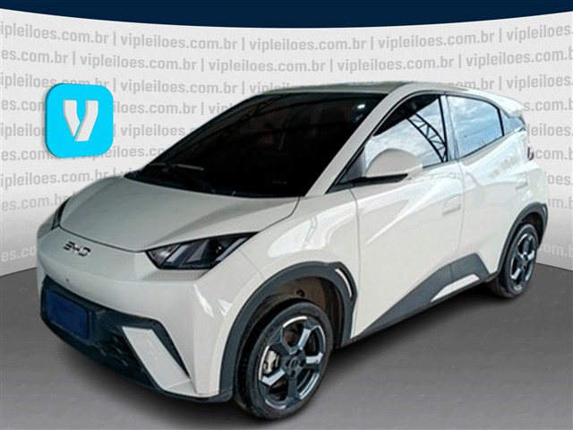DOLPHIN MINI GS5EV - 2024/2025